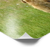 12x16 Satin finish foto van grizzly beer cubs Foto Afdruk (Hoek)