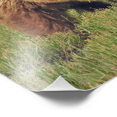 12x16 Satin finish foto van grizzly beer Foto Afdruk (Hoek)