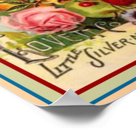 12x16 van de 1895 tuinbouwgids van Lovett Poster (Hoek)