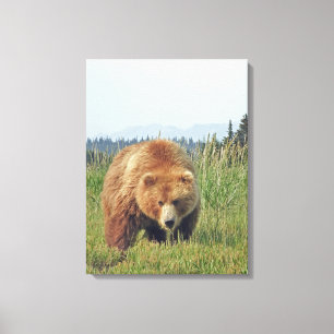 12x24 omgepakt canvas (glanzend) met grizzly beer afdruk