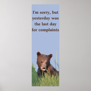 12x36 Poster papier (Matte) met grizzly beer cub
