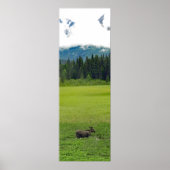 12x36 Poster Papier (Matte) met vloeiend papier (Voorkant)