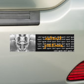1302314968_m, idioot spreekt idioot idioot... bumpersticker (Op auto)