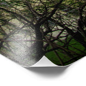 130 jaar geheimen foto afdruk (Hoek)