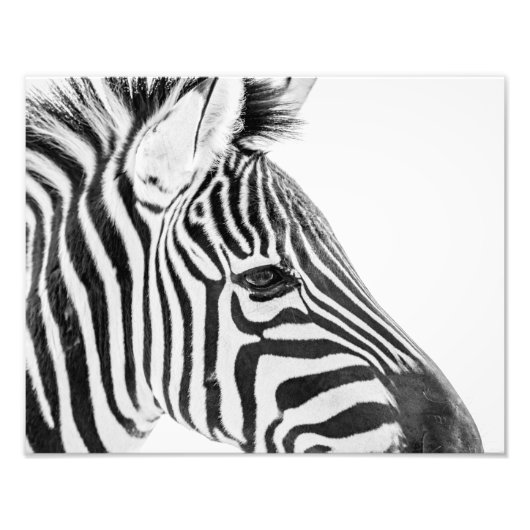 1318-Zebra Foto Afdruk (Voorkant)