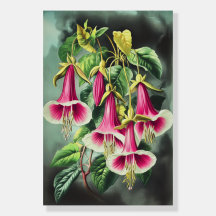 1359 Bloemen, elektrische energie