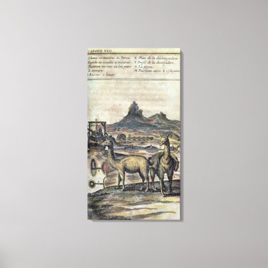 137-0627924 Illustratie uit de geschiedenis van Pe Canvas Afdruk (Voorkant)