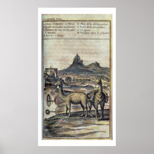 137-0627924 Illustratie uit de geschiedenis van Pe Poster (Voorkant)