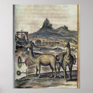 137-0627924 Illustratie uit de geschiedenis van Pe Poster
