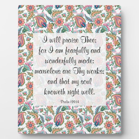 139:14 Plaque Fotoplaat (Voorkant)