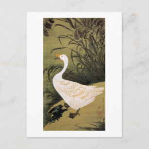 13. 芦 鵞 図, 若 Reed & Goose, Jakuchu, Japan Art Briefkaart