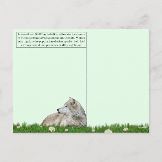 13 augustus: Internationale dag van de wolf Feestdagenkaart (Achterkant)