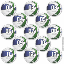 13 basketball stickers set blue green team colors 