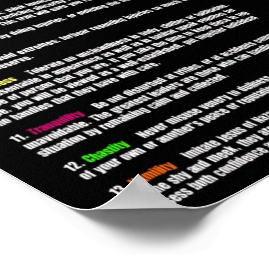 13 Beginselen van het leven Poster (Hoek)