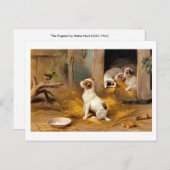 13 bis De Puppies Briefkaart (Voorkant / Achterkant)