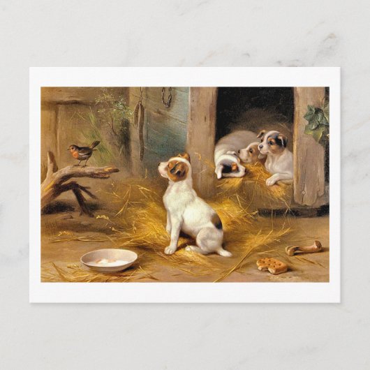 13 bis De Puppies Briefkaart (Voorkant)