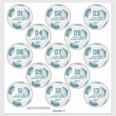 13 blauwgroen witte voetbalploegen kleuren jongens sticker (Vel)