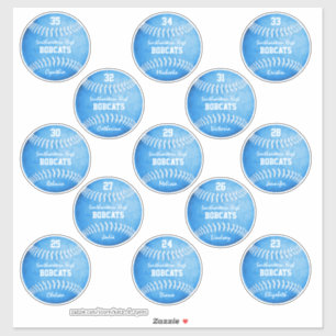 13 de namen blauwe softballons van de douanespeler sticker