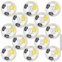 13 enkele voetbalstickers met zwart gouden teamkle