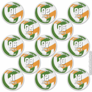 13 groene oranje teamkleuren volleybalspelers sticker