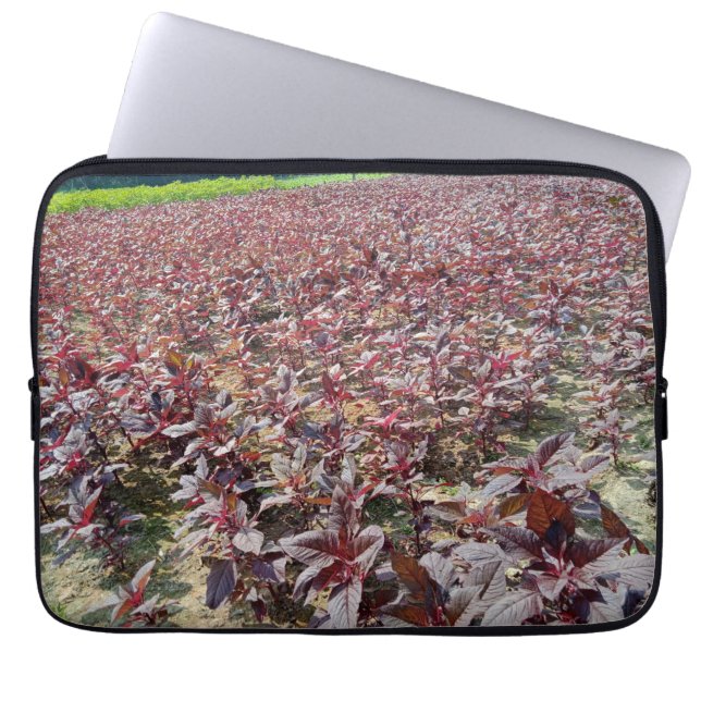 13-inch hoes voor neopreen-laptop (Voorkant)
