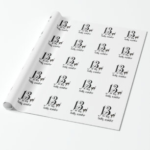13 is mijn geluksgetal+zwarte kat cadeaupapier