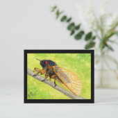13 jaar Cicada-schilderijen Briefkaart (Staand voorkant)