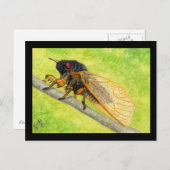 13 jaar Cicada-schilderijen Briefkaart (Voorkant / Achterkant)