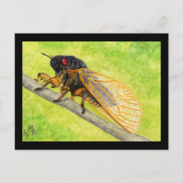 13 jaar Cicada-schilderijen Briefkaart