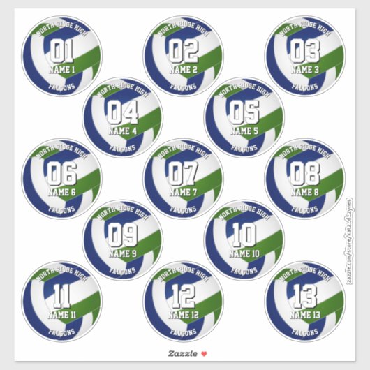 13 kids teens blue green volleyball club colors sticker (Vel)