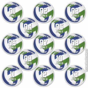 13 kids tieners blauwe groene volleybalclub kleure sticker
