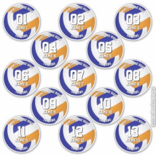 13 kids tieners blauwe oranje volleybal club kleur sticker