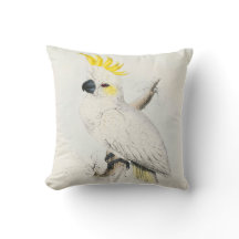 #13-Lesser-zwavelcrested cockatoo