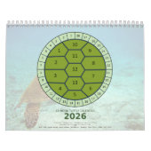 13-Maan Schildpad Kalender 2026 | Maanfasen & Wat (Hoes)