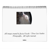 13 maanden 2011 Agenda Kalender (Achterkant)