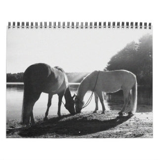 13 maanden 2011 Agenda Kalender