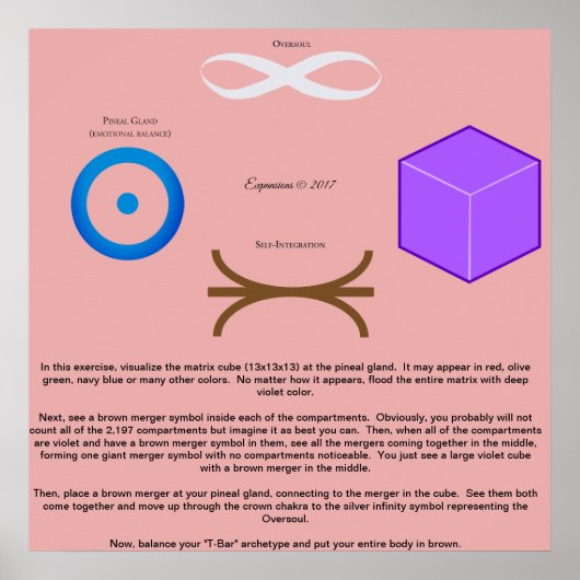 13 Poster samenvoegen ingesloten (Voorkant)