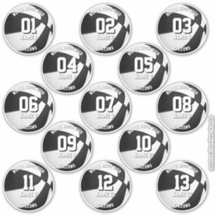 13 stickers voor basketballers in teamkleuren