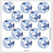 13 stuk spelers namen blauw wit volleybal sticker (Vel)