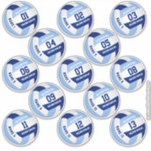 13 stuk spelers namen blauw wit volleybal sticker (Voorkant)