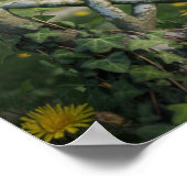 13 symbolen: het Poster van het pentakel (Hoek)