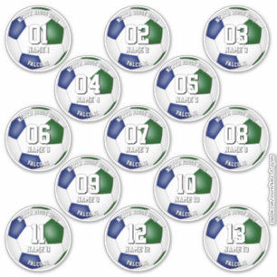 13 voetbalspelers set van blauwe groene teamkleure sticker