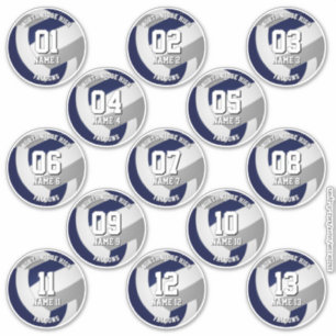 13 volleyballers Blauw Grijs Team Kleuren Sticker