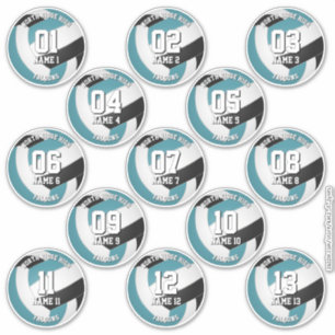13 volleyballers blauwgroen zwarte teamkleuren sticker