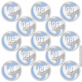 13 volleyballers lichtblauw grijs team kleuren sticker