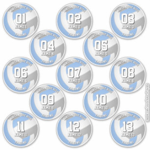 13 volleyballers lichtblauw grijs team kleuren sticker