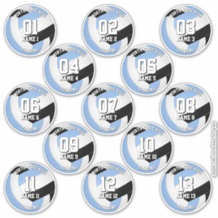 13 volleyballers lichtblauw zwart team kleuren sticker