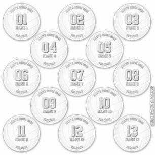 13 volleybalspelers INDIVIDUEEL gepersonaliseerd Sticker