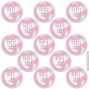13 volleybalsters Boho Bloemenpaisleys Roze Sticker