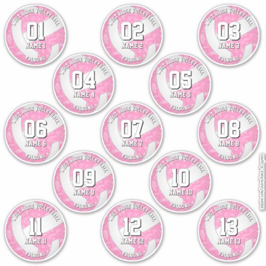 13 volleybalsters Boho Bloemenpaisleys Roze Sticker (Voorkant)